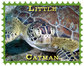 Best of Little Cayman Gallery